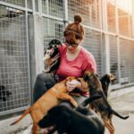 Our experience with dog adoption shelter