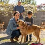 The story behind adopt a paw pet haven